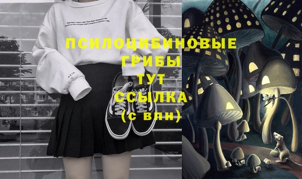 ешки Вязники